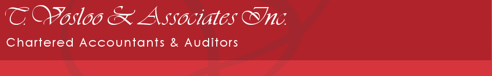 Accountants and Auditors at T Vosloo and Associates